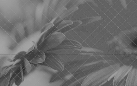 [vc_row][vc_column width=”1/1″][vc_mad_portfolio_image_list images=”2635″ img_size=”1120*492″ title=”SINGLE PORTFOLIO POST V1″][vc_custom_heading text=”About Project” font_container=”tag:h5|text_align:left” google_fonts=”font_family:Roboto%3A100%2C100italic%2C300%2C300italic%2Cregular%2Citalic%2C500%2C500italic%2C700%2C700italic%2C900%2C900italic|font_style:500%20bold%20regular%3A500%3Anormal”][vc_column_text]Ut tellus dolor, dapibus eget, elementum vel, cursus eleifend, elit. Aenean auctor wisi et urna. Aliquam erat volutpat. Duis ac turpis. Donec sit amet eros. Lorem ipsum dolor sit amet, consecvtetuer adipiscing elit.[/vc_column_text][vc_mad_about_portfolio output_date=”yes” output_category=”yes” output_tags=”yes” output_client=”Lorem ipsum” output_services=”Website development” output_skills=”yes” display_share=”yes”][/vc_column][/vc_row][vc_row][vc_column width=”1/1″][vc_mad_portfolio columns=”3″ [&hellip;]